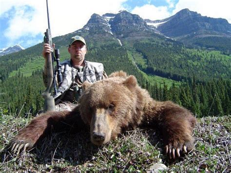 Petition · Create Legislation Banning The Grizzly Bear Trophy Hunt