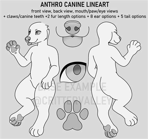 Anthro Furry Canine Base