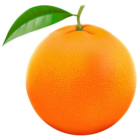 Orange Clipart Download Orange Clipart For Free 2019