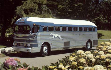 Silversides Greyhound Bus Bus City Bus
