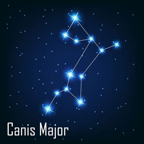 Canis Major Definição E Significado Dicionário Inglês Collins