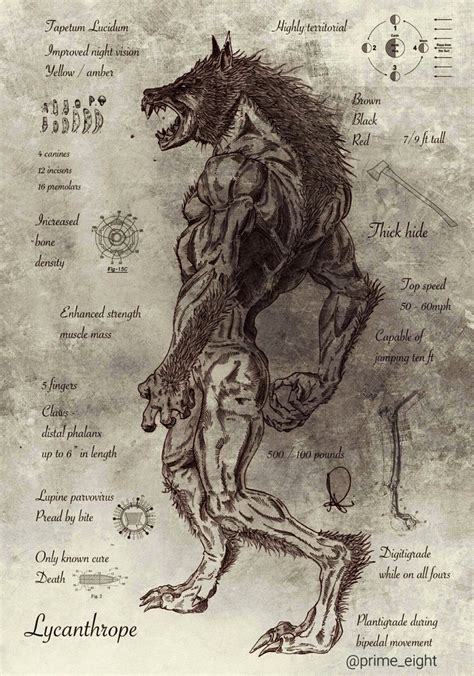 Pin By Doug Winters On Werewolves Mythical Creatures Art Werewolf