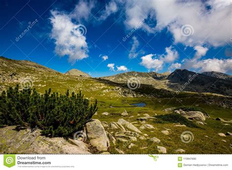 Scenery Summer Landscape Pirin Mountain Bulgaria Stock Photo Image