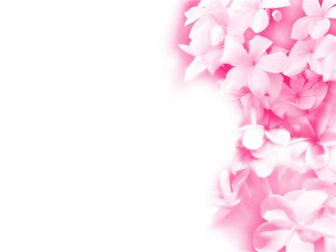 Find best pink wallpaper and ideas by device, resolution, and quality (hd, 4k) from a curated website list. Modern Pink Wallpaper | Wallpaper Cartoon