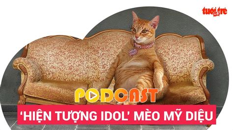 Podcast Vì Sao Mạng Xã Hội Chết Mê Chết Mệt Với Cô Mèo Mỹ Diệu