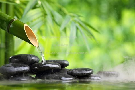 Flow Of Energy Stones Bamboo Green Water