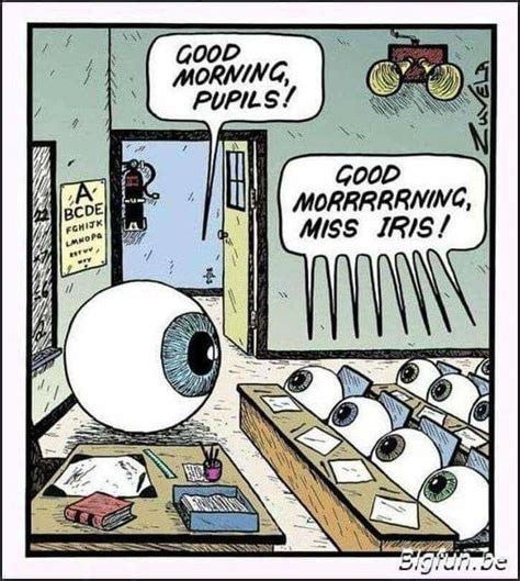 Pin By Lyluve On Funny Eye Jokes Optometry Humor Eyes Meme