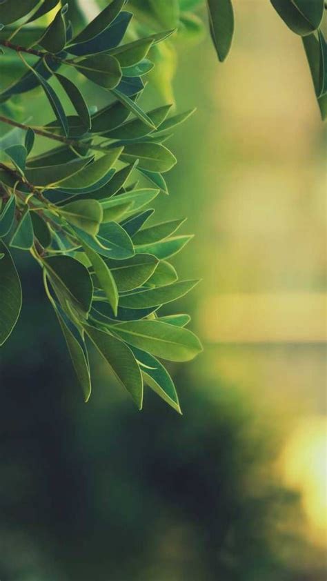 nature wallpaper,nature wallpaper hd,nature wallpaper ... Customize your desktop, mobile phone and tablet with our wide variety of cool and interesting android wallpapers in just a few clicks!
