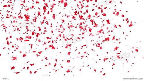 For any updates, look under sakura petals keep falling in my profile! Falling Sakura Petals Cherry Blossoms 6 Red Stock ...
