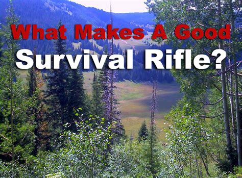 The Best Survival Rifle What Makes A Good Choice
