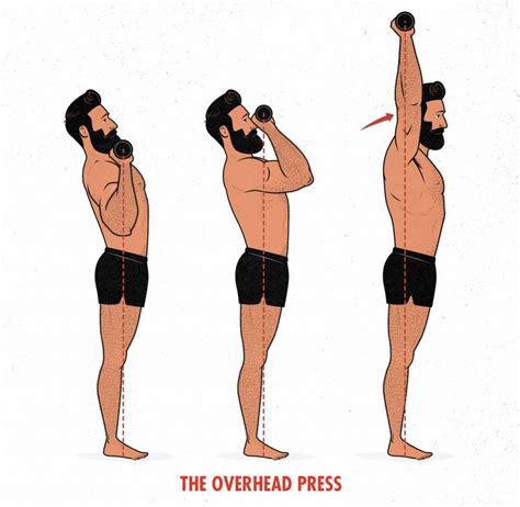The Overhead Press Guide For Size Outlift