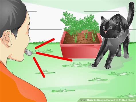It is also useful if you want to keep your dogs away from your landscaping. 3 Ways to Keep a Cat out of Potted Plants - wikiHow