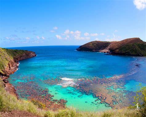 Sightseeing Tour Oahu Hawaii Real Nature Tours