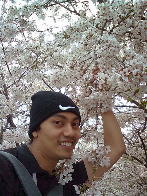 Haru atau musim bunga adalah salah satu daripada 4 musim yang boleh dinikmati di jepun. apple muslim holiday: SAKURA DI JEPUN