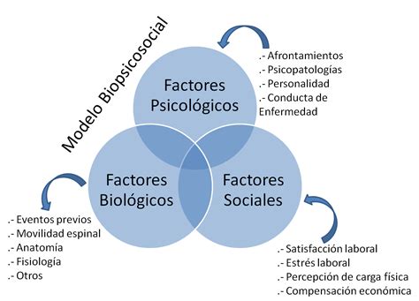 Entre Pócimas El modelo biopsicosocial