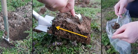 Objektpflege hra 9968 ki steuernummer. Bodenanalyse für Rasen und Pflanzen im eigenen Garten