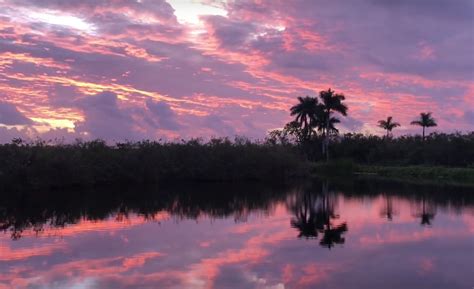 Maybe you would like to learn more about one of these? RV Camping in Everglades National Park | MR RV
