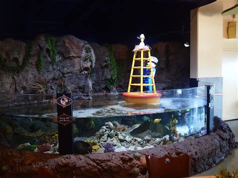 Sasaki Time Legoland Sea Life Aquarium Trip Report