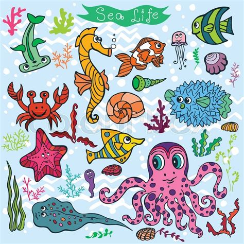 Shop.alwaysreview.com has been visited by 1m+ users in the past month Coral Cartoon Drawing at GetDrawings | Free download