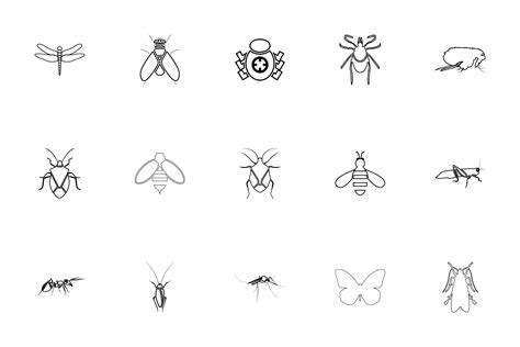 Insects Black Color Set Outline Style Graphic By Magistr0505 · Creative
