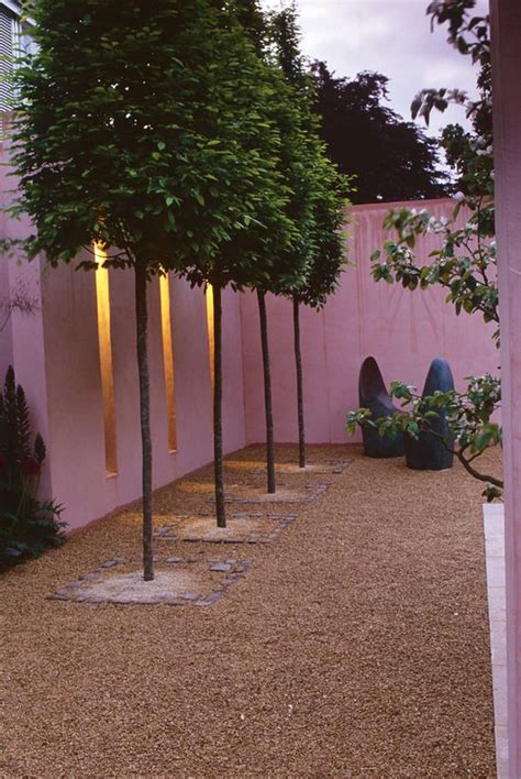 23 Best Images About Small Garden And Courtyard Trees Landscape Ideas