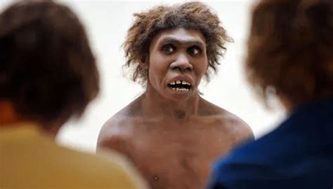 Modern Humans Split From Neanderthals Far Earlier Than Thought Study
