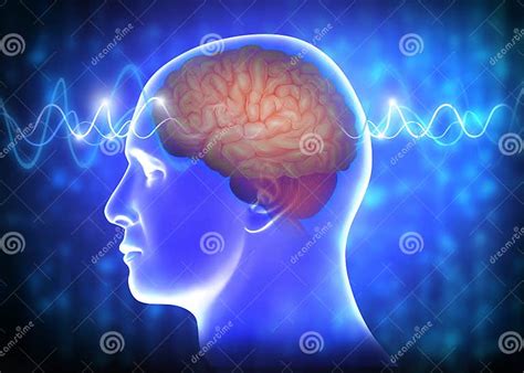 Medical Illustration Of Human Brain Waves Stock Illustration