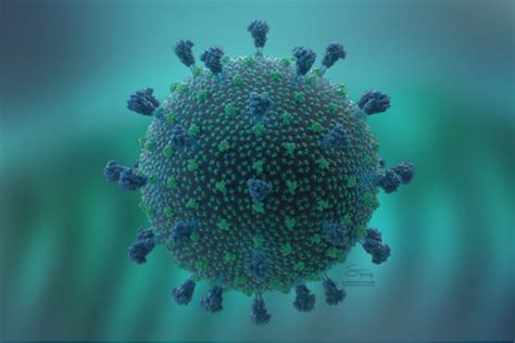 Последние твиты от corona map (@coronamap). Coronavirus vaccine: COVID-19 phase I vaccine clinical ...