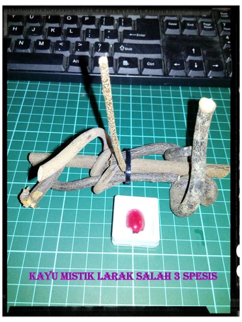 Pengencer darah umumnya terbagi dalam dua golongan obat, yaitu antiplatelet dan antiplatelet merupakan golongan pengencer darah yang berfungsi dalam mencegah sel keping darah (trombosit) untuk saling menempel, sehingga tidak. RAWATAN ALTERNATIF QALBUN RAHMAH: Kayu Mistik Aura Alami ...
