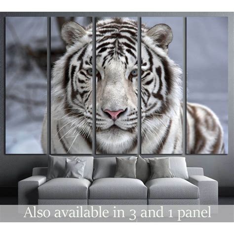Face To Face With White Bengal Tiger №2345 Ready To Hang Canvas Print