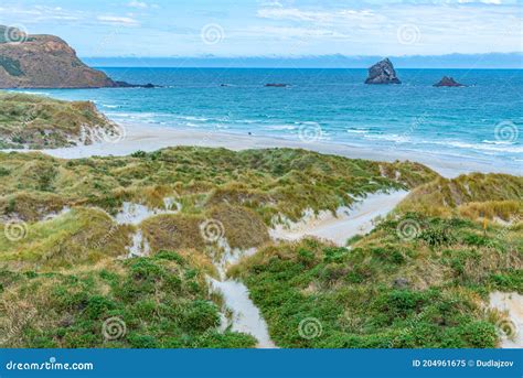 Sand Duens At Sandfly Bay In Otago Peninsula New Zealand Stock Image Image Of Beach