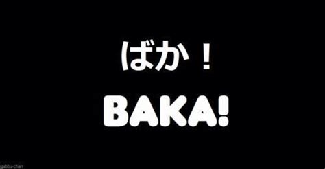 Imagen De Baka Japanese And Japan Japanese Quotes Japanese Phrases
