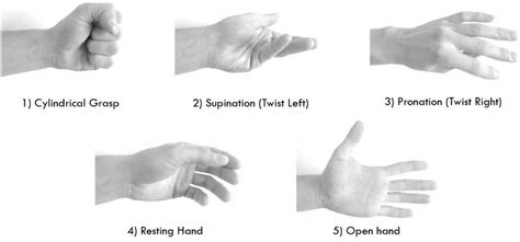 Type Of Multiple Hand Gestures 15 Download Scientific Diagram
