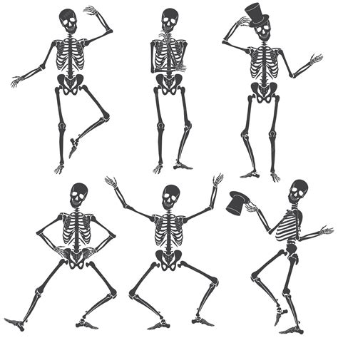 Premium Vector Dancing Skeletons Different Skeleton Poses Isolated