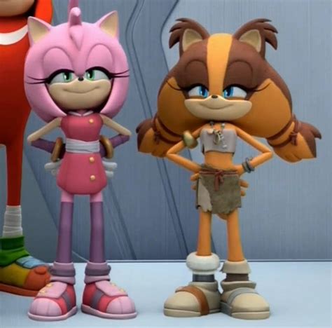 Amy And Sticks Sonic The Hedgehog Know Your Meme