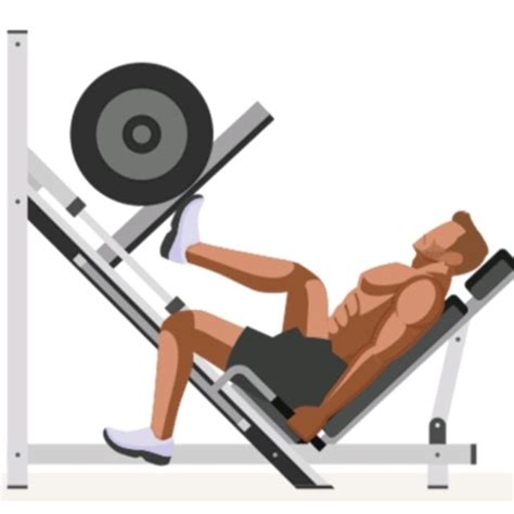 Single Leg Press By Mariel Rodriguez Exercise How To Skimble