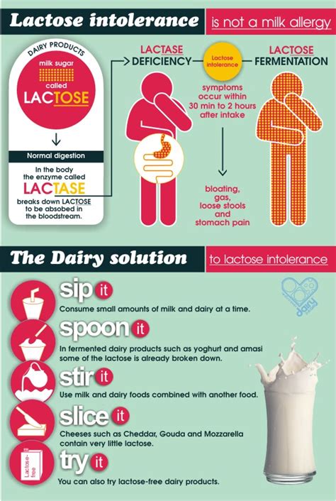 Dairy Dairy Allergies And Lactose Intolerance Rediscover Dairy