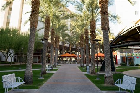 5 Hidden Study Spots On Asus Tempe Campus The State Press