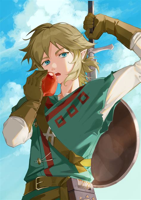 Link Breath Of The Wild Zelda No Densetsu Breath Of The Wild