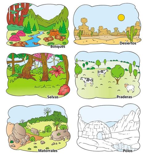 Espectaculares Dibujos De Los Ecosistemas E Dibujo De Un Ecosistema