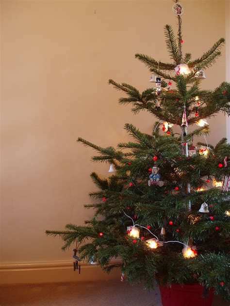 Photo Of Traditional Christmas Tree Free Christmas Images