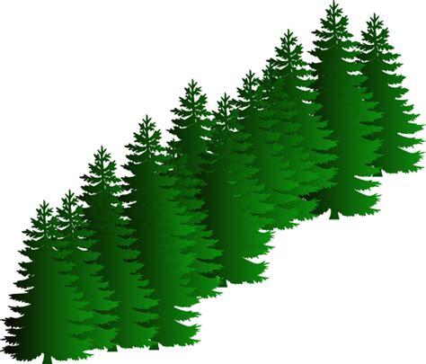 Evergreen Cluster Clip Art At Vector Clip Art Online