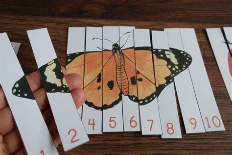 Insect Preschool Printable Number Sequence Puzzles 1 10 Etsy Australia