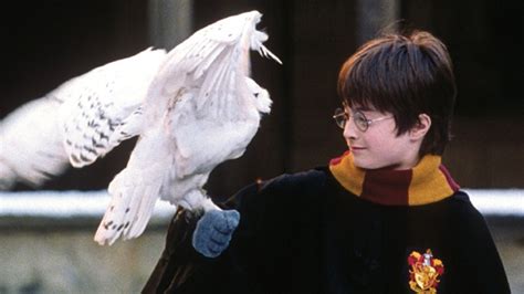 Forced to spend his summer holidays with his muggle relations, harry potter gets a real shock when he gets a surprise visitor: 'Harry Potter': Every Magical Creature Shown in the Movies ...
