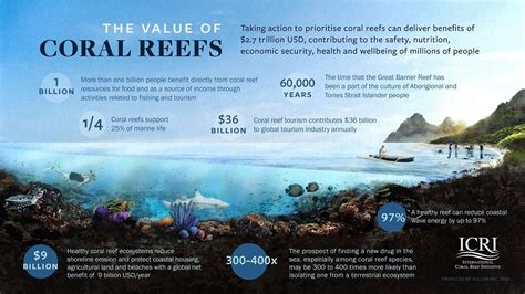 How The World Is Coming Together To Save Coral Reefs World Economic Forum