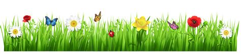 Grass Ground With White Flowers Png Clip Art Image Clip Art Library