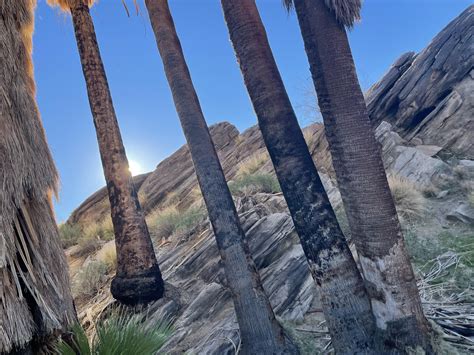 Indian Canyons in Palm Springs, CA : r/desertporn