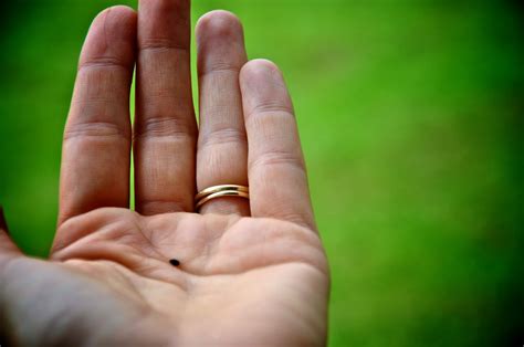 Blood clots are differently sized clumps of blood that have formed inside your body. Of Mustard Seeds and Blood Clots | Next Level Church | Blog