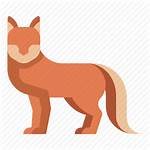 Fox Furry Animal Icon Vulpes Zoo Wildlife