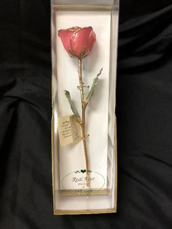 Commemorate that special life moment with an unforgettable gift. 24K Gold dipped rose in variety of colors 1 Gold dipped ...